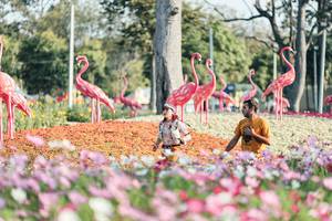 BIB: 
                            <button type="button" onclick="openModal(27344215)" class="btn btn-primary btn-sm float-right btn-popup" data-toggle="modal" data-target=".modal-high-quality">
                        <i class="fas fa-shopping-cart"></i> Add to Cart
                    </button>
                                            <button type="button" onclick="isThisMe(27344215, true)" class="btn btn-success btn-sm float-right btn-popup btn-isme hidden" data-toggle="tooltip" data-placement="bottom" title="นี่คือรูปของคุณใช่ไหม คลิกที่นี่เพื่อเอาเข้าอัลบั้ม">
                        <i class="fas fa-plus"></i> Add to album
                    </button>
                    <button type="button" onclick="isThisMe(27344215, false)" class="btn btn-warning btn-sm float-right btn-popup btn-isnotme hidden">
                        <i class="fas fa-ban"></i> Remove from album
                    </button>